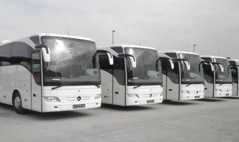 Trentino-Alto Adige/Südtirol: Bus company in Bolzano in Bolzano and Italy